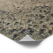 Poster Le vent forme des vagues de sable, autour de galet (Coin)