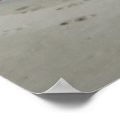 Poster Le vent veut jouer avec vos cheveux (Coin)