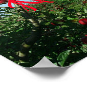 Poster Le verger Apple (Coin)