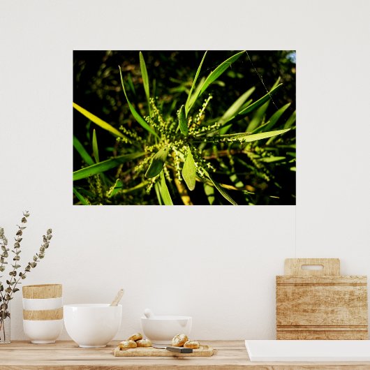 Poster le vert de la nature (Cuisine)