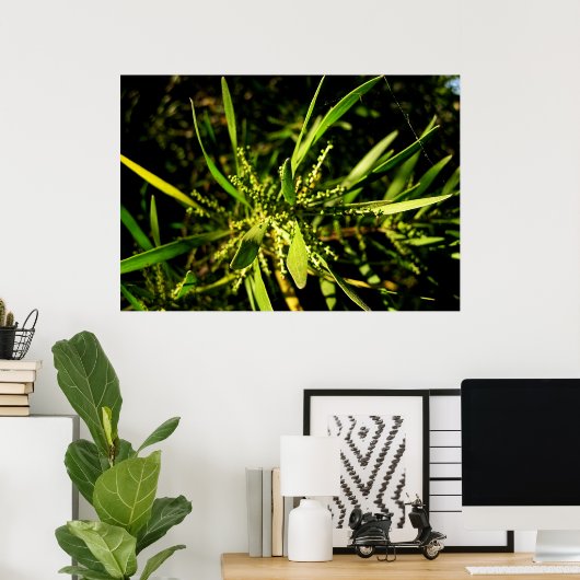 Poster le vert de la nature (Bureau à domicile)