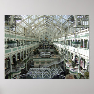 Poster Le vert de Stephen, Dublin