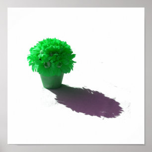 Poster Le vert fleurit le seau et l'ombre blancs
