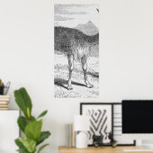 Poster Le Vicuna du Rio de Janeiro (Bureau à domicile)
