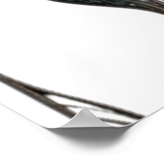 Poster Le vide de l'Exécution (Coin)