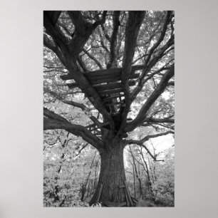 Poster Le vieux fort