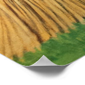 POSTER LE VIEUX OLIVE TREE (Coin)