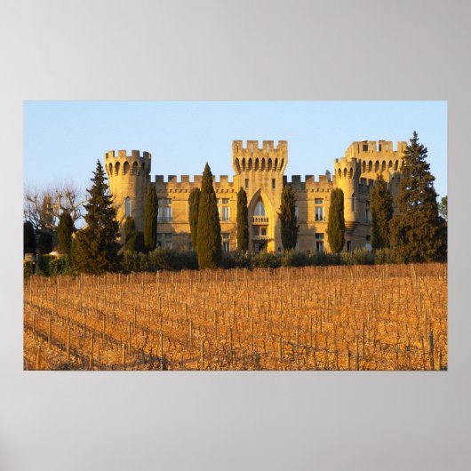 Poster Le vignoble aux pins sylvestres et le château (Devant)