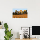 Poster Le vignoble aux pins sylvestres et le château (Bureau à domicile)