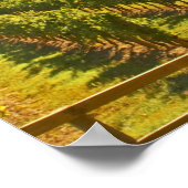 Poster Le vignoble et une vallée avec une forêt. (Coin)