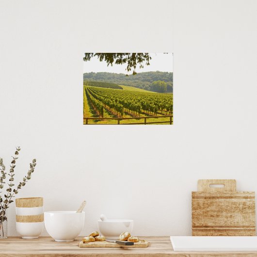 Poster Le vignoble et une vallée avec une forêt. (Cuisine)