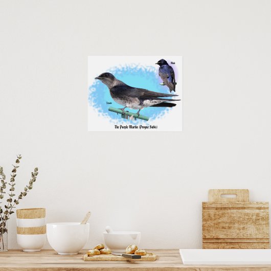 Poster Le violet Martin (Cuisine)