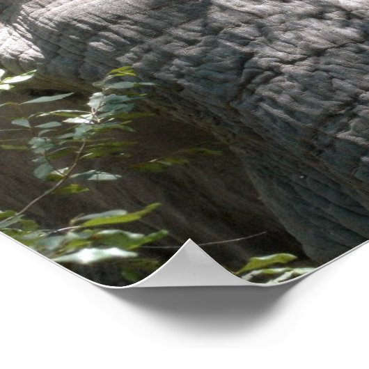 Poster Le visage de l'éléphant (Coin)