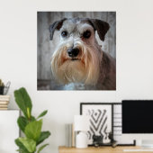 Poster Le visage de Schnauzer Dog (Bureau à domicile)
