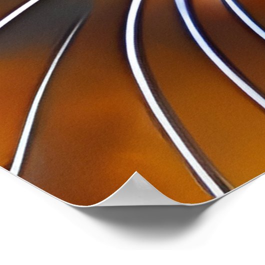 Poster Le visage d'un mignon Lynx pointe Siamese (Coin)