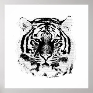 Poster Le visage noir et blanc du tigre