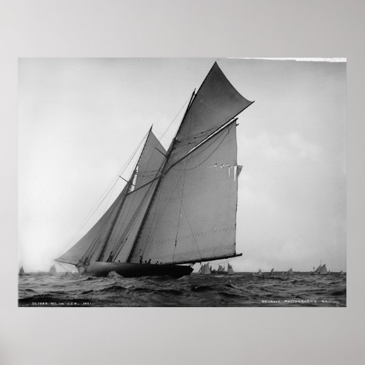 Poster Le Volontaire (Devant)