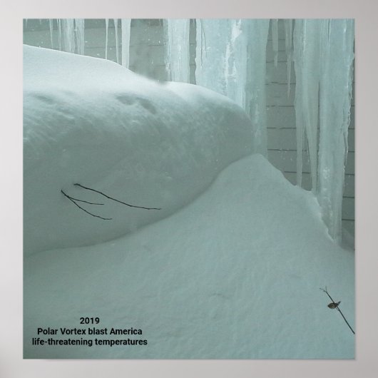 POSTER LE VORTEX POLAIRE ATTEINT L'AMÉRIQUE 2019 (Devant)
