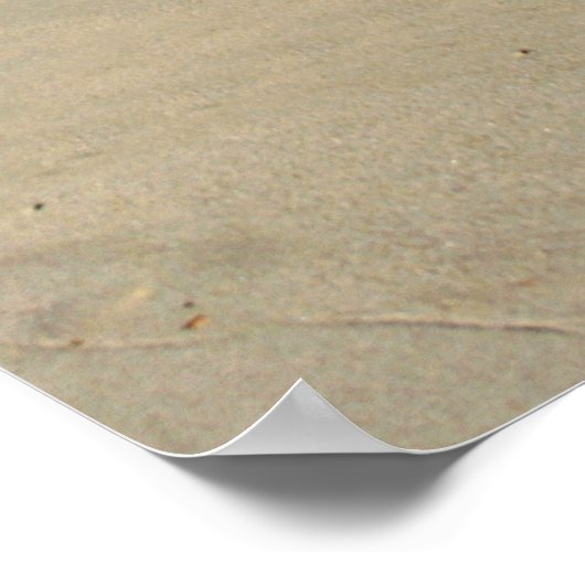 Poster Le voyage (Coin)