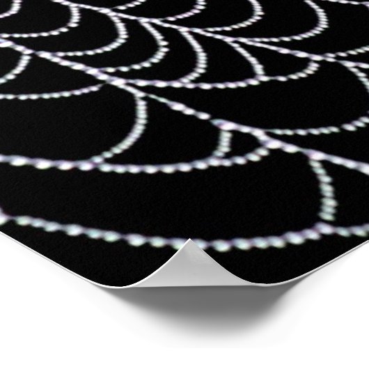 Poster Le Web de Spider | Imprimer (Coin)