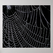 Poster Le Web de Spider | Imprimer (Devant)
