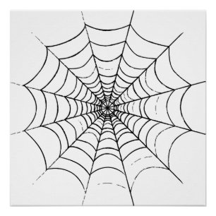 Poster Le Web d'un simple araignée