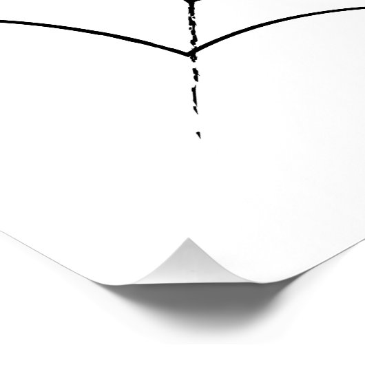 Poster Le Web d'un simple araignée (Coin)