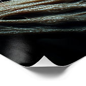 Poster Le Wendigo (Coin)