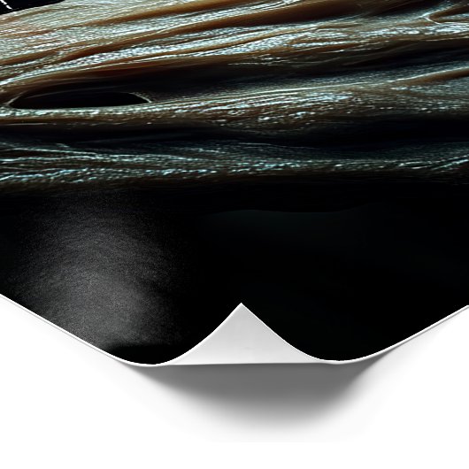 Poster Le Wendigo (Coin)