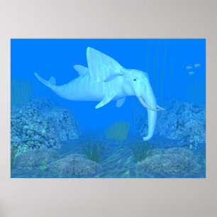 Poster Le Whalphant adorable