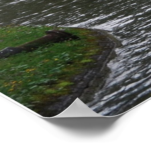 Poster Leader (Coin)