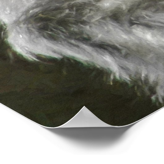 POSTER LEADER DE SILVERBACK GORILLA (Coin)