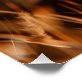 Poster Leão de Judá (Coin)