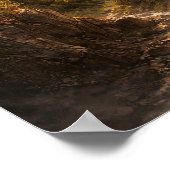 Poster Leap of Freedom (Coin)