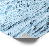 Poster Leaping Orca (Coin)