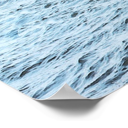 Poster Leaping Orca (Coin)