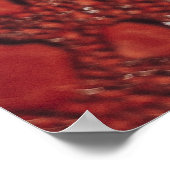 Poster L'eau chute sur le capot rouge (Coin)