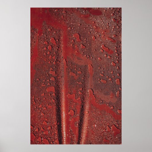 Poster L'eau chute sur le capot rouge (Devant)