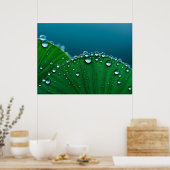 Poster L'eau chute sur les feuille (Cuisine)