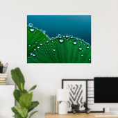 Poster L'eau chute sur les feuille (Bureau à domicile)