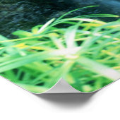 POSTER L'EAU TOMBE AU JARDIN SHAWS (Coin)