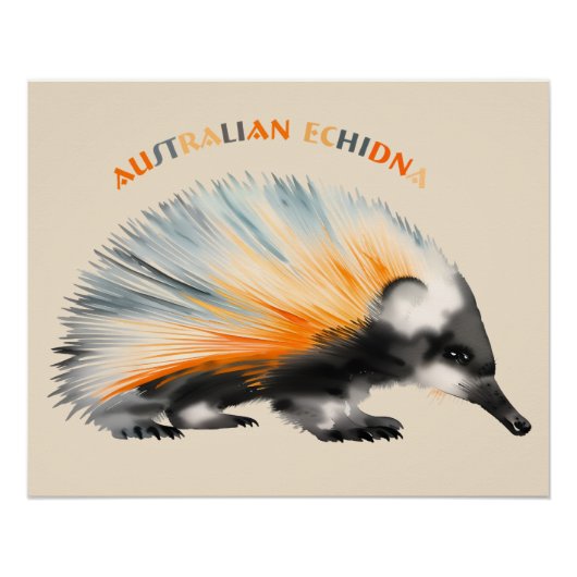 Poster L'échidné australien piquant (Devant)