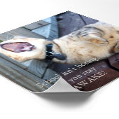 Poster L'école n'est pas ennuyeuse (Coin)