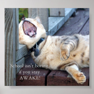 Poster L'école n'est pas ennuyeuse