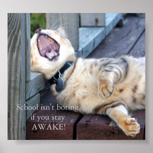 Poster L'école n'est pas ennuyeuse (Devant)