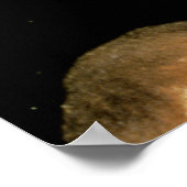 Poster Leçon d'anatomie du Dr Nicolaes Tulp, 1632 (Coin)