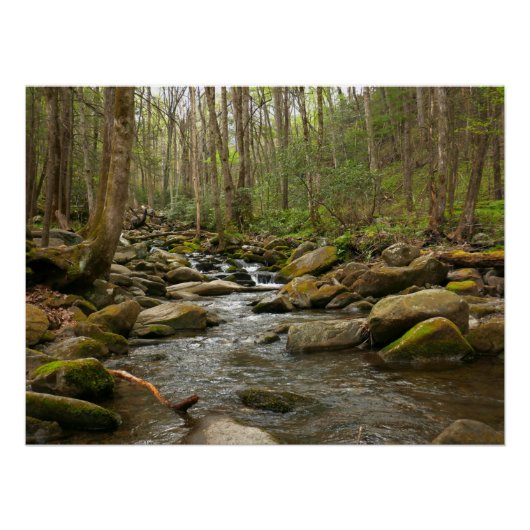 Poster LeConte Creek at Great Smoky Mountains (Devant)