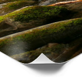 Poster LeConte Creek at Great Smoky Mountains (Coin)