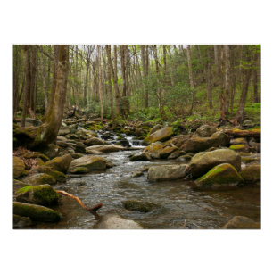 Poster LeConte Creek dans les Great Smoky Mountains
