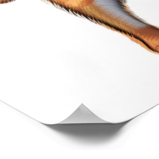 Poster Lecteur Cat Double Basse (Coin)